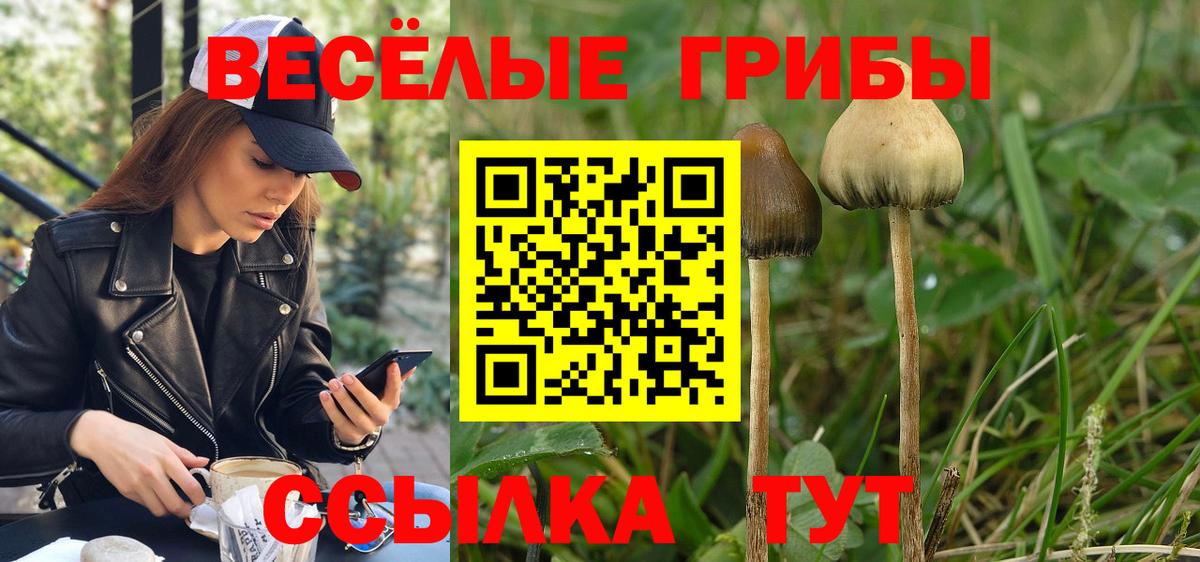 Галлюциногенные грибы Magic Shrooms Ногинск