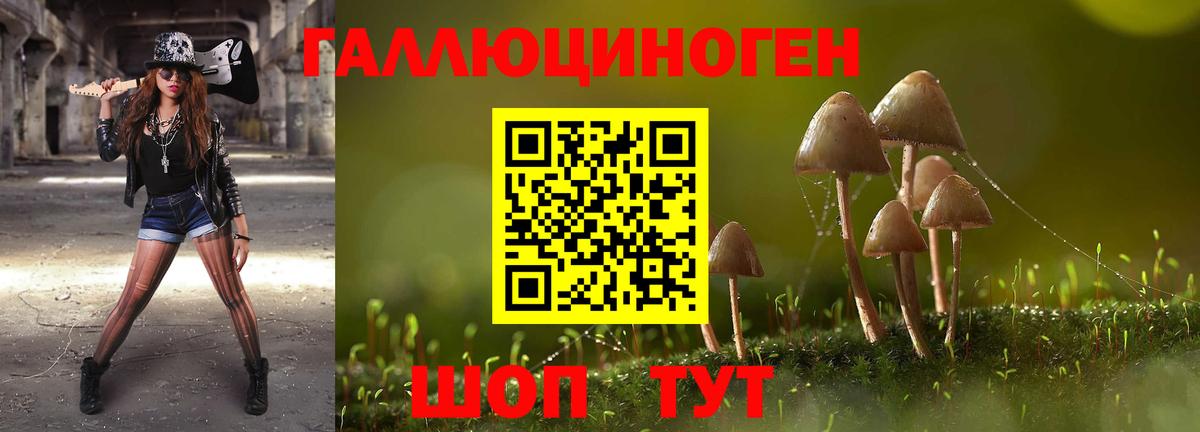 Ногинск  Галлюциногенные грибы прущие грибы  Вход с VPN 